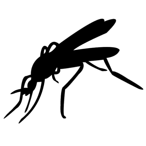 mosquito icon